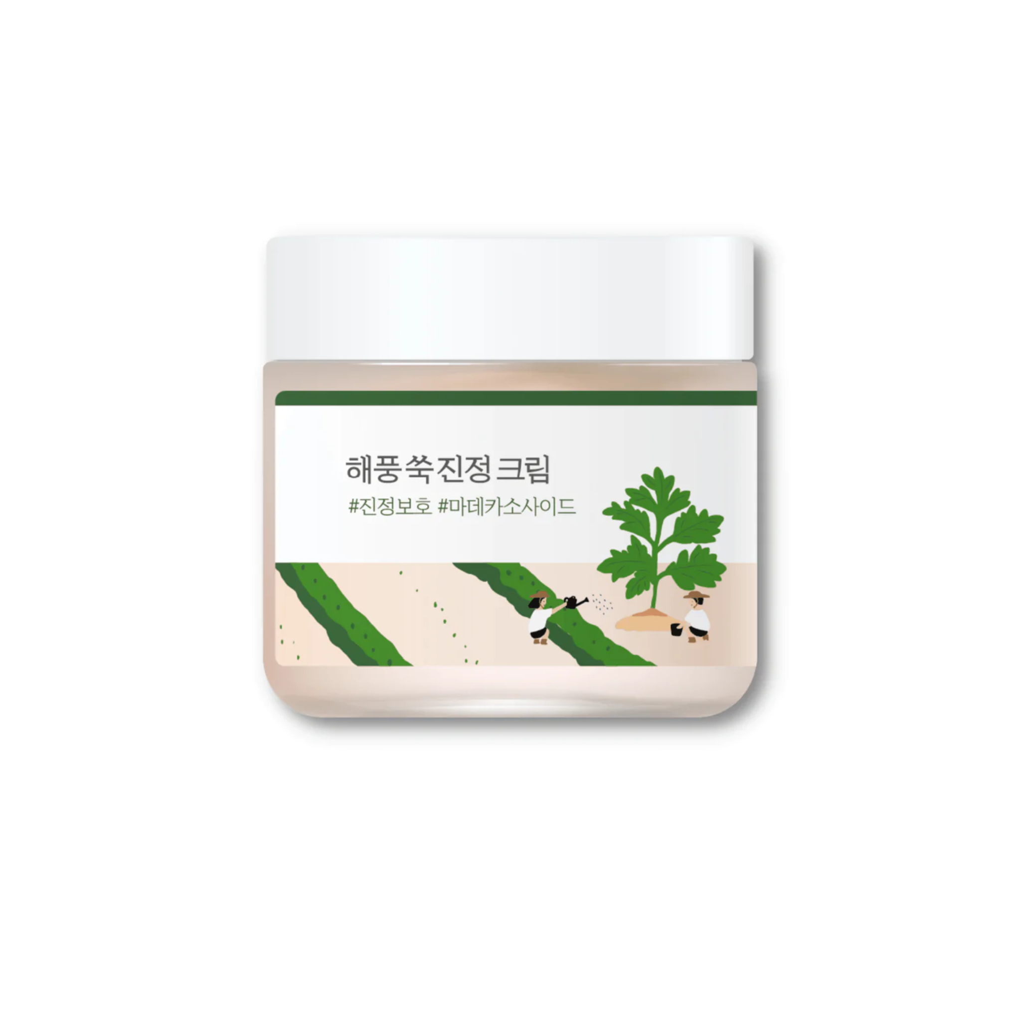 ROUND LAB Mugwort Calming Cream (80ml) – Skin Cupid