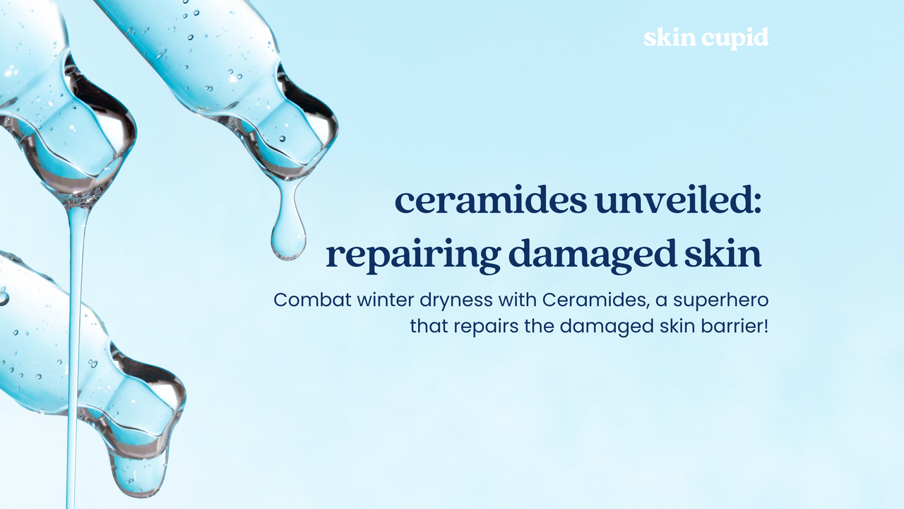 Ceramides Unveiled: A Path to A Stronger Skin Barrier